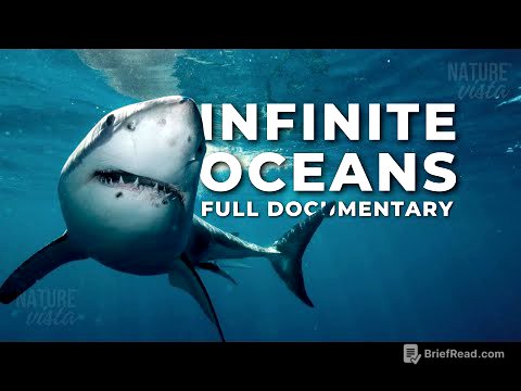 INFINITE OCEANS | A Journey Through the World's Oceans - Full Documentary