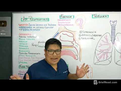 ✅ APARATO RESPIRATORIO
