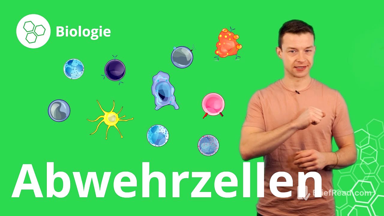 Abwehrzellen: so wehrt sich dein Körper – Biologie | Duden Learnattack