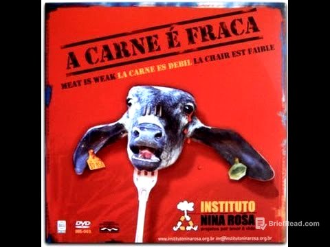 A Carne é Fraca - Instituto Nina Rosa