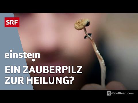 Drogen als Medikamente: Wie LSD, Psilocybin und GHB heilen könnten | Doku | Einstein | SRF Wissen
