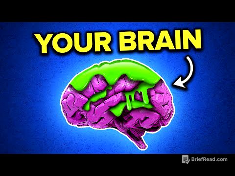Brain Rot Is Holding You Back