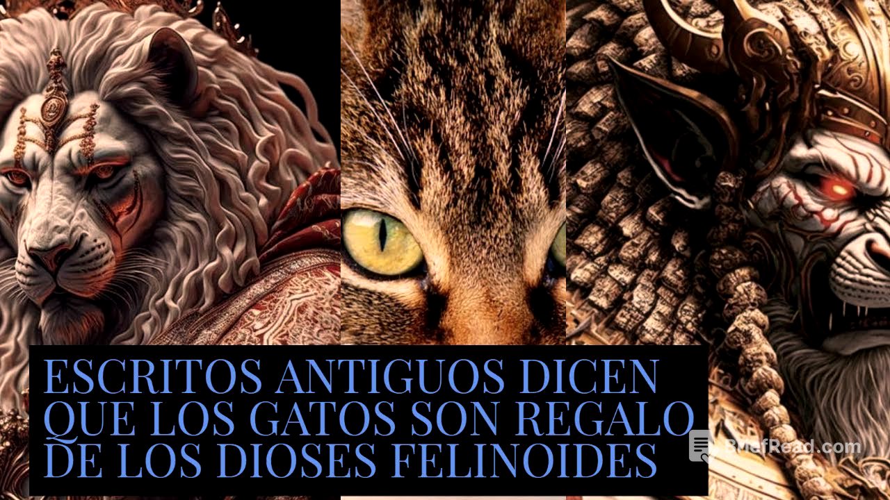 LOS GATOS,REGALO DE LOS DIOSES FELINOIDES ,URMAH