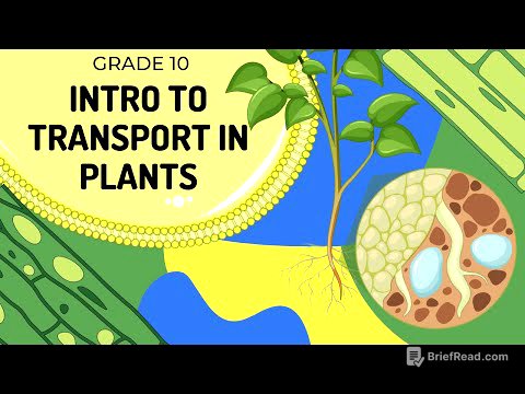 INTRO TO TRANSPORT IN PLANTS | The Root Hair Cell