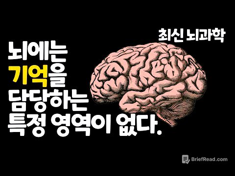 뇌는 기억을 이렇게 만든다 I 기억력 높이는 뇌과학적 방법