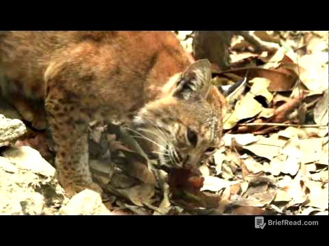 CONABIO La riqueza natural de México