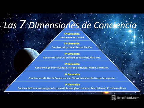Las 7 Dimensiones de Conciencia