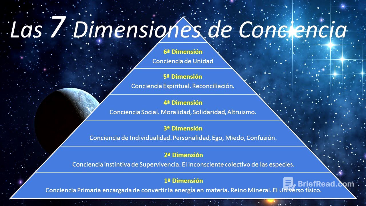 Las 7 Dimensiones de Conciencia
