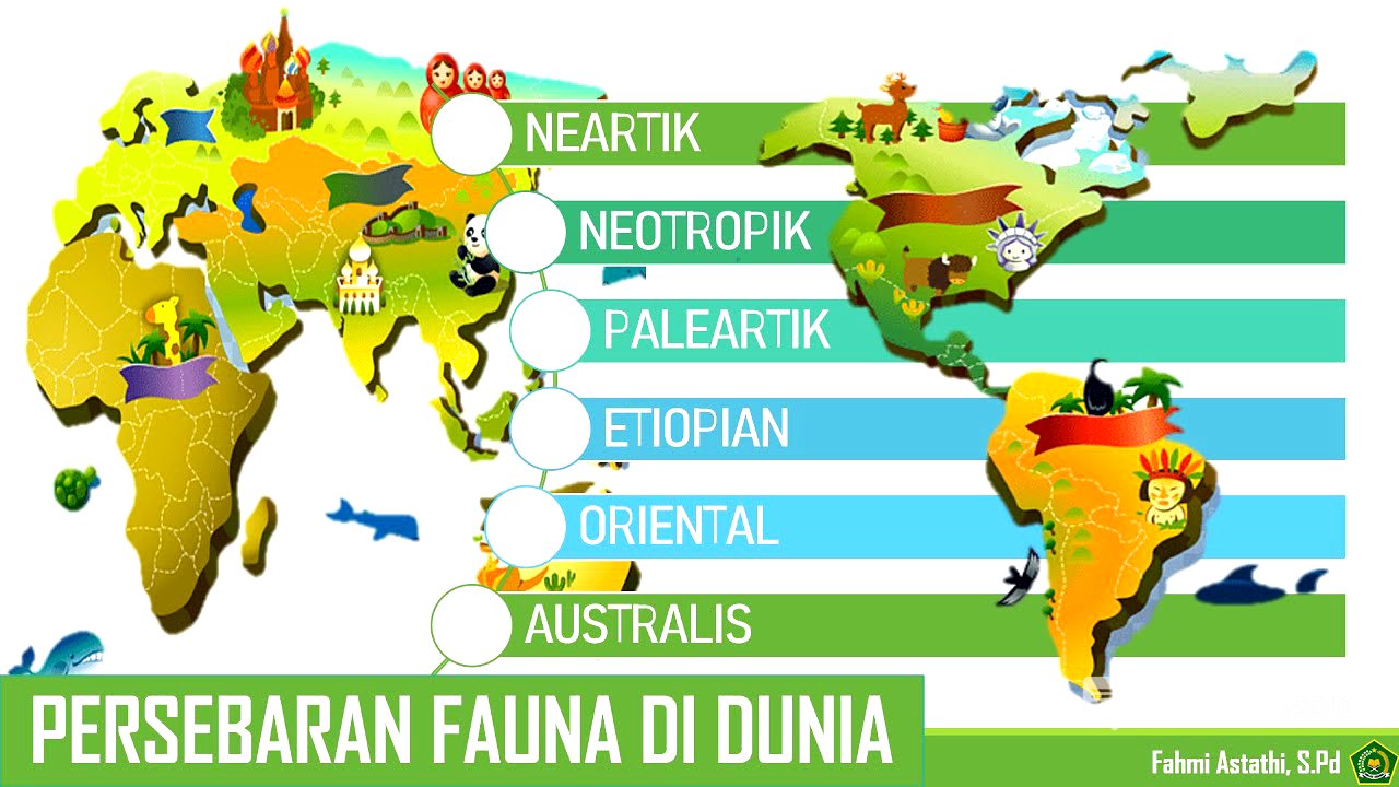 PERSEBARAN FAUNA DI DUNIA #geography #education #kurikulummerdeka #flora #fauna