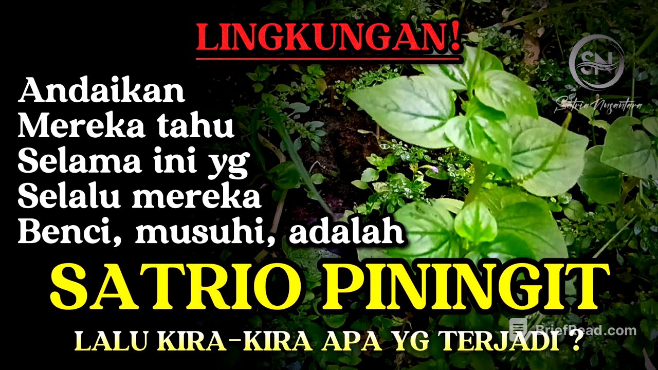 SATRIO PININGIT dan lingkungan yang tidak bersahabat