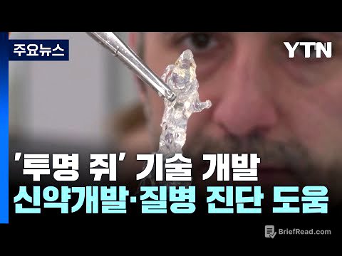 [과학 한스푼] 투명인간 아닌 '투명 쥐'...신약 테스트·질병 진단에 도움 / YTN