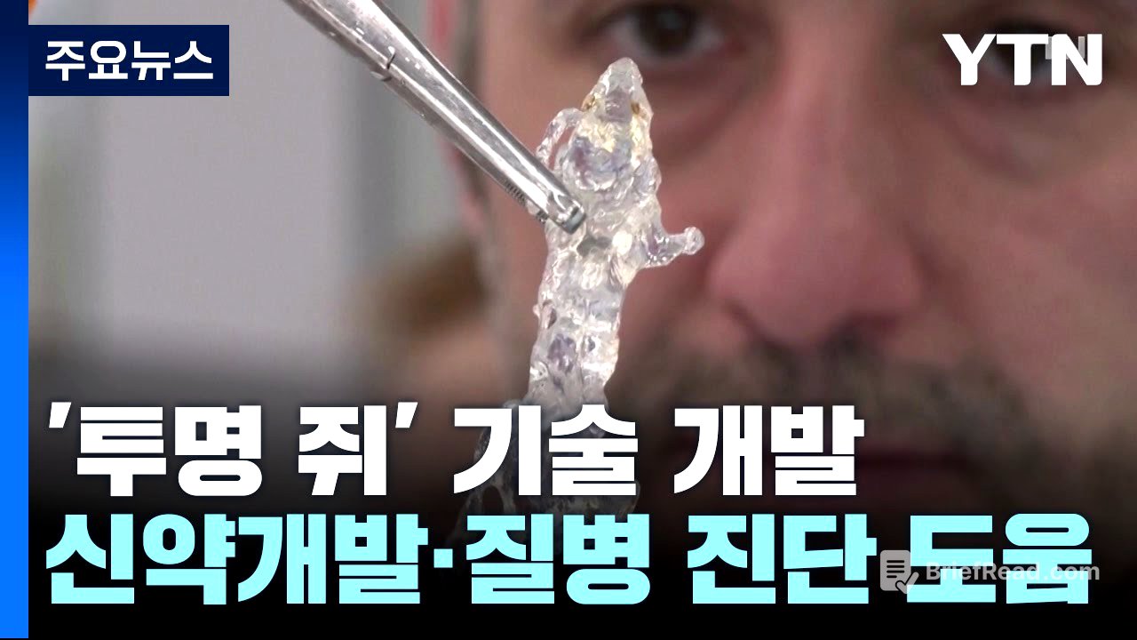 [과학 한스푼] 투명인간 아닌 '투명 쥐'...신약 테스트·질병 진단에 도움 / YTN