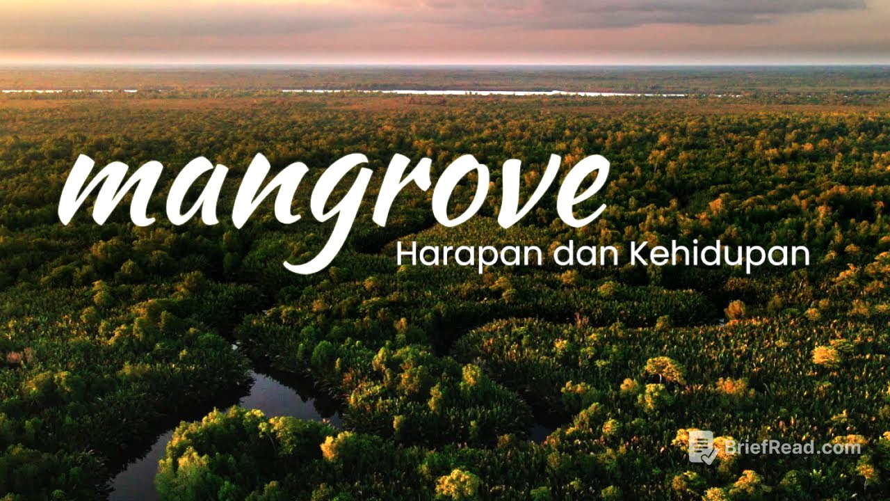 Mangrove: Harapan dan Kehidupan [Dokumenter] | Mangrove: Hope and Life [Documentary]