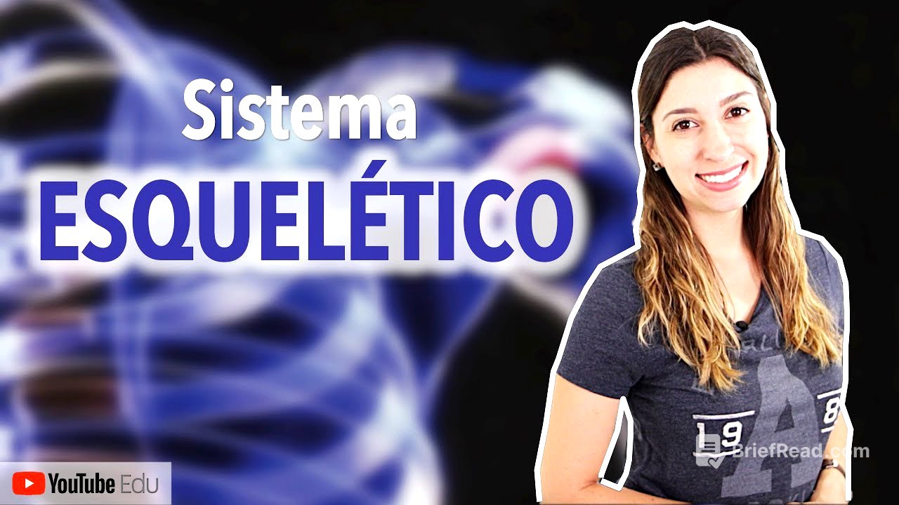 Sistema Esquelético 1/5: Introdução | Anatomia e etc