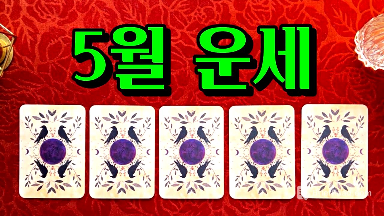 [타로] 5월 운세 총운 ✨ 이번달 가장 중요한 일