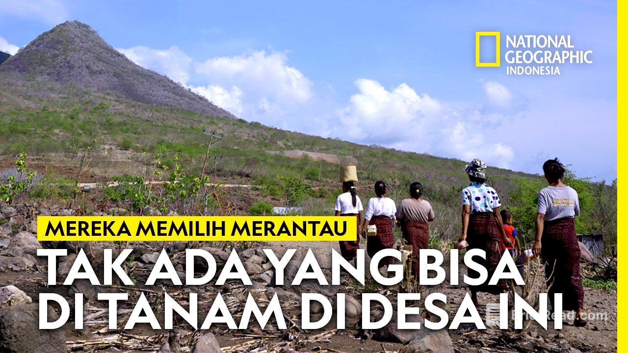 SORGUM MENJAWAB TANTANGAN ALAM di FLORES TIMUR - NATIONAL GEOGRAPHIC INDONESIA