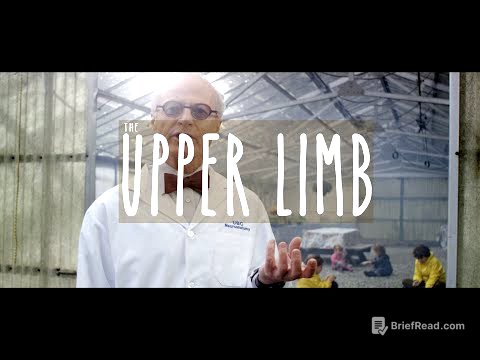Neuroanatomy S3 E2: The Upper Limb #neuroanatomy #ubcmedicine