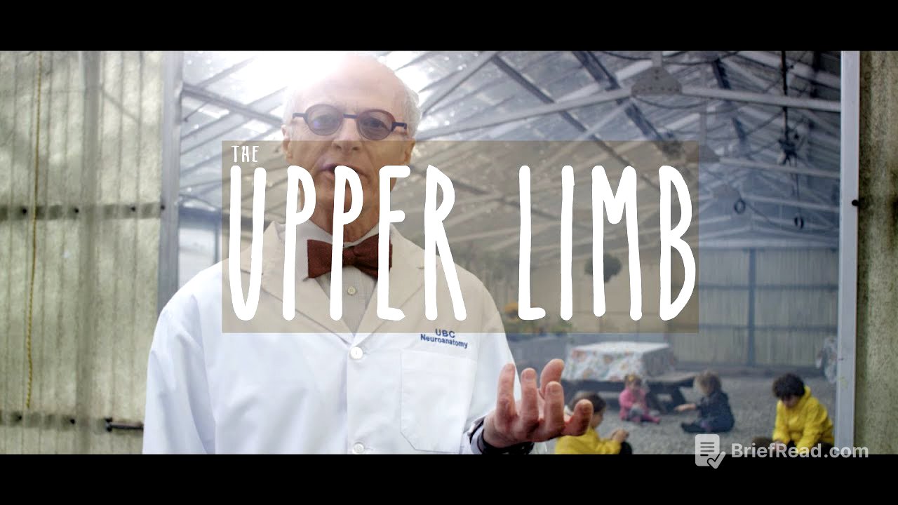 Neuroanatomy S3 E2: The Upper Limb #neuroanatomy #ubcmedicine