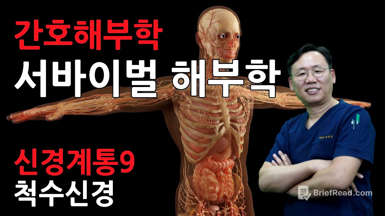 [서바이벌해부학] 간호해부학-신경계통9