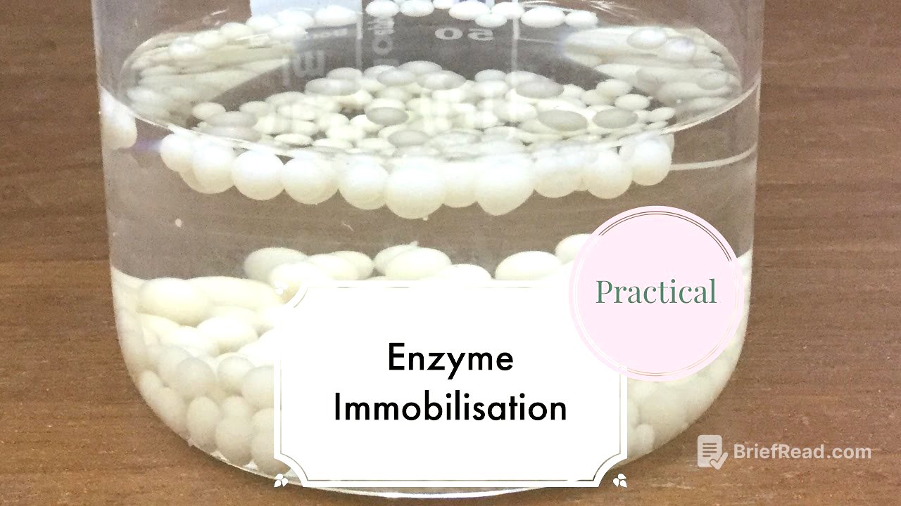 Enzyme Immobilisation-Leaving Cert Biology