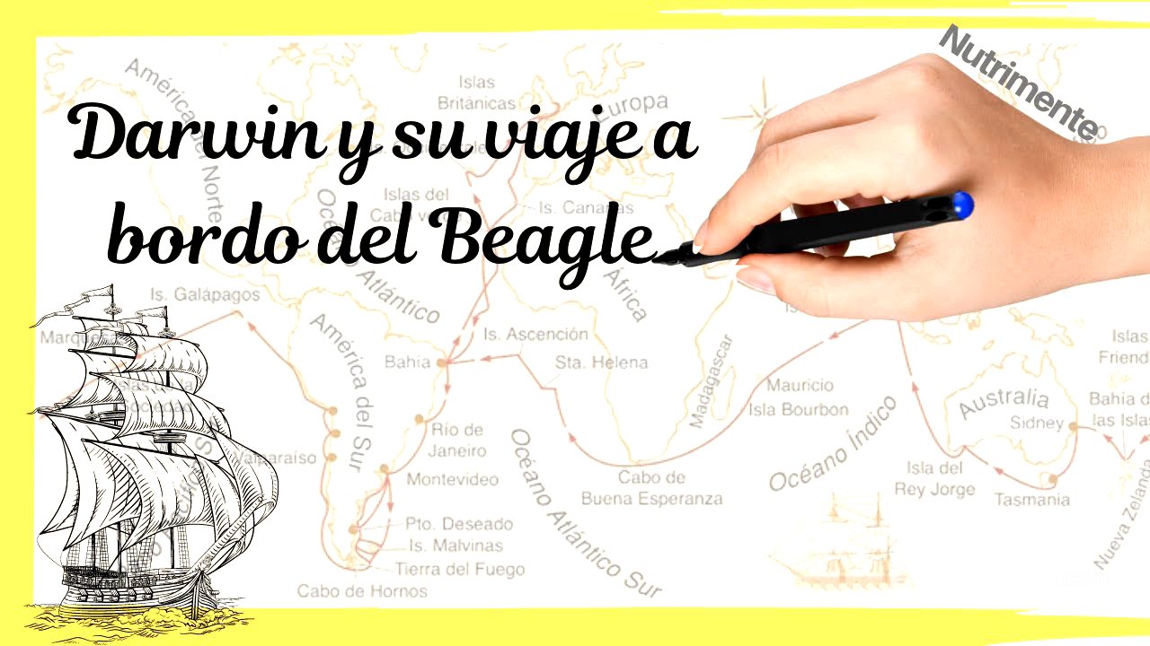 Darwin y su viaje a bordo del Beagle