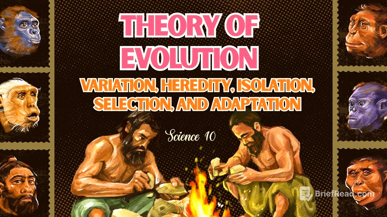 Term 1 Science 10 | Lesson 11: VARIATION, HEREDITY, ISOLATION, ADAPTATION  | MATATAG Curriculum