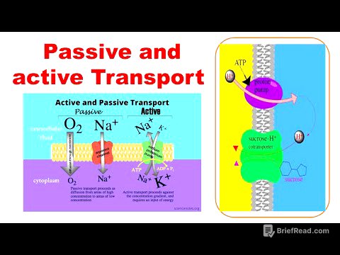 Active and passive transport #biology #biochemistry