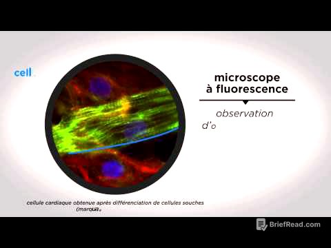 MOOC côté cours : Voir la cellule