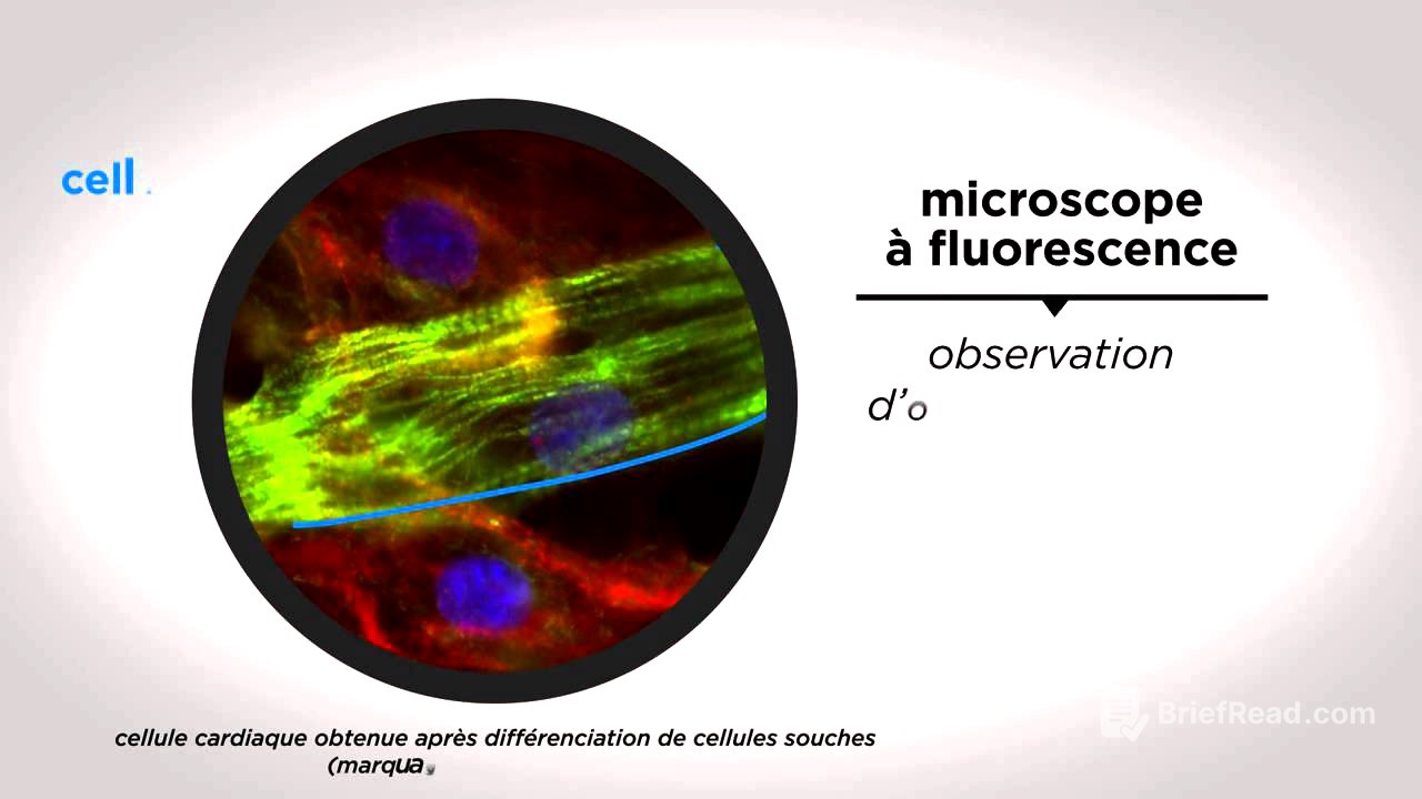 MOOC côté cours : Voir la cellule