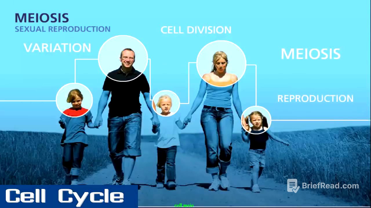 Meiosis | Sexual Reproduction | Learn through animated videos