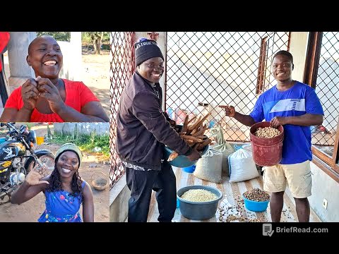 GRANDE COLHEITA NA ROÇA UM PRESENTE PARA TODA FAMÍLIA A NOSSA COLHEITA FOI UMA ALEGRIA PARA FAMÍLIA 