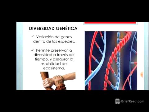 Niveles de Biodiversidad