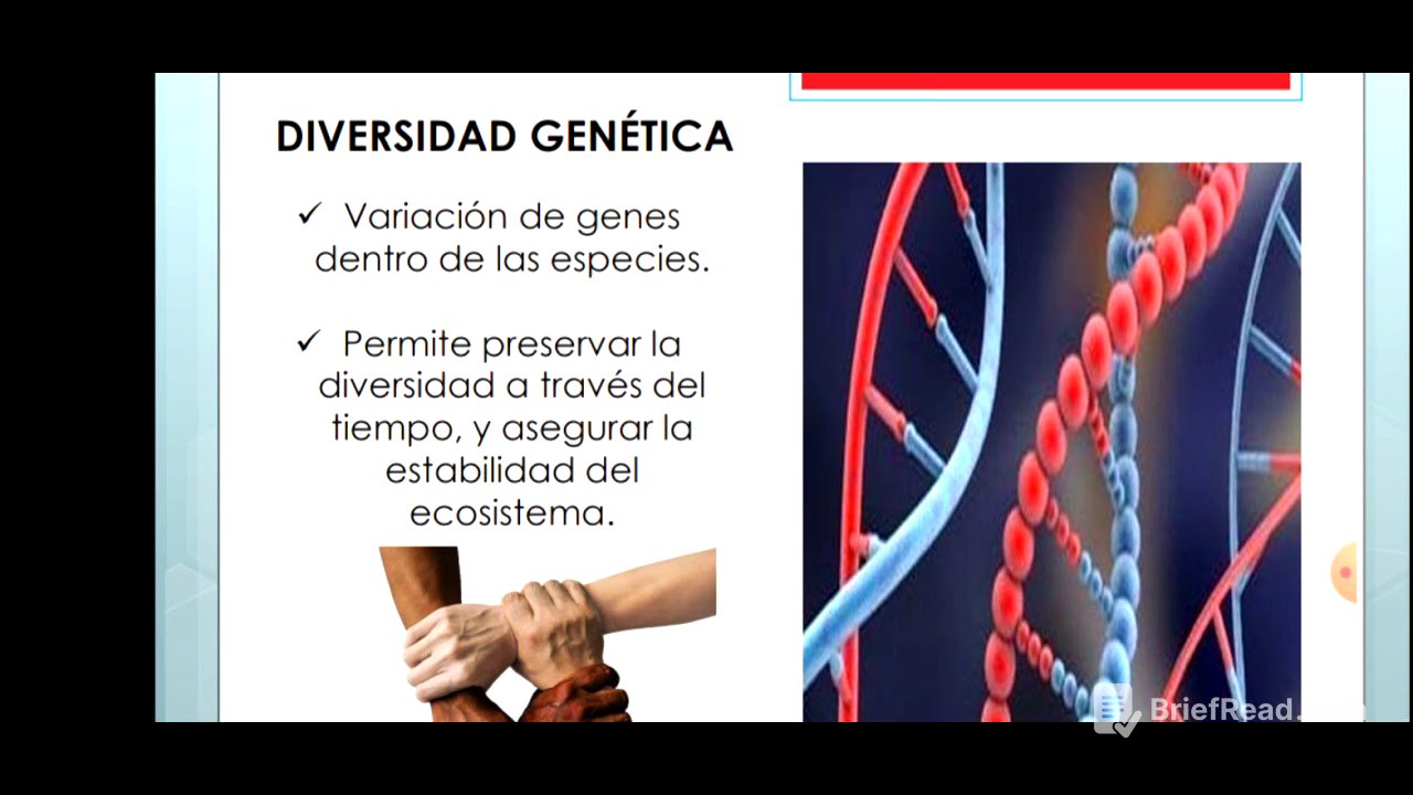 Niveles de Biodiversidad