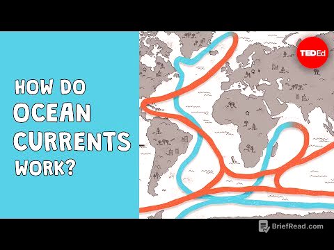 How do ocean currents work? - Jennifer Verduin