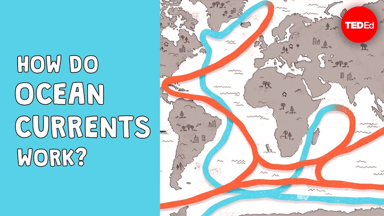 How do ocean currents work? - Jennifer Verduin