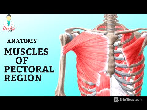 Anatomy | Muscles of Pectoral Region - A Quick Overview