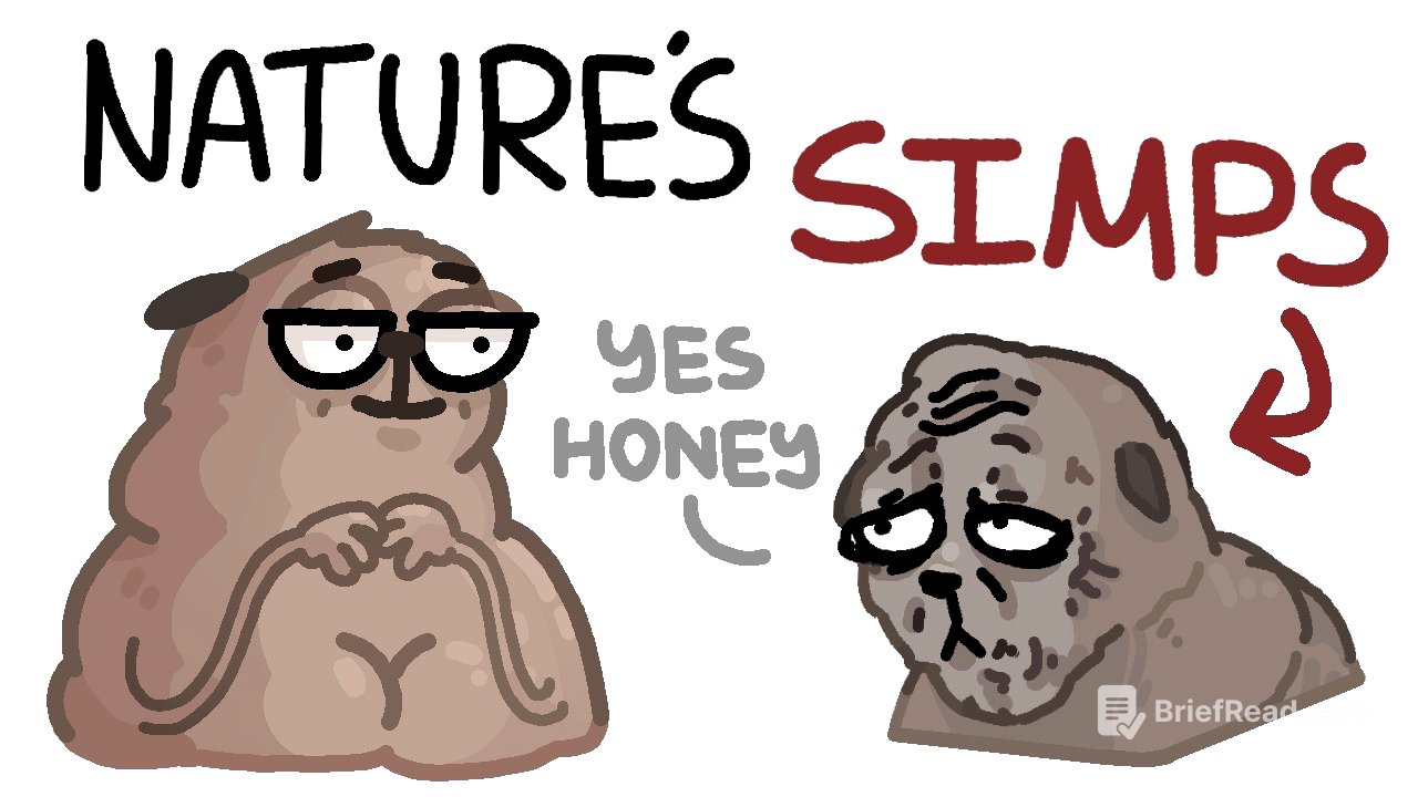 biggest simps in the animal kingdom