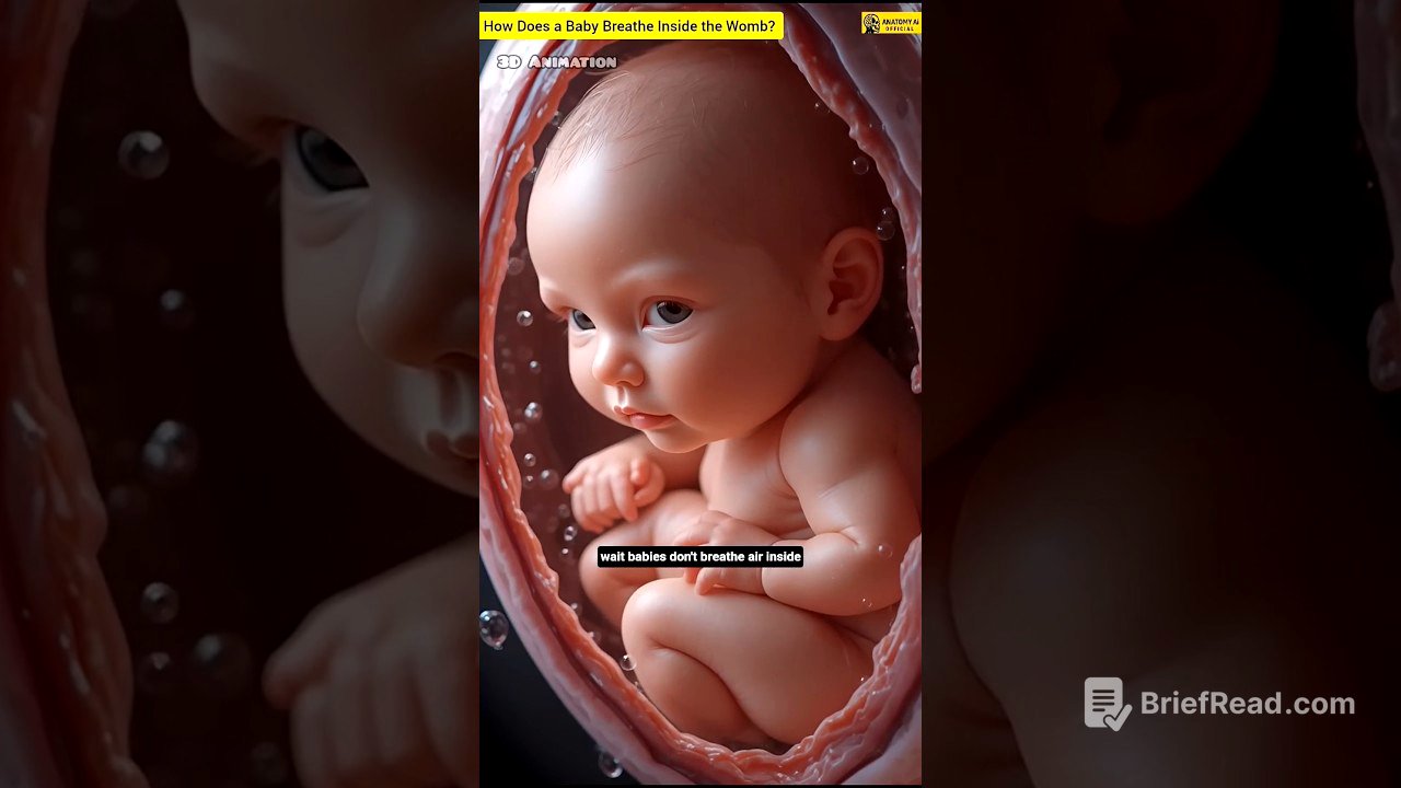 How Does a Baby Breathe Inside the Womb? (Mind-Blowing Truth!)