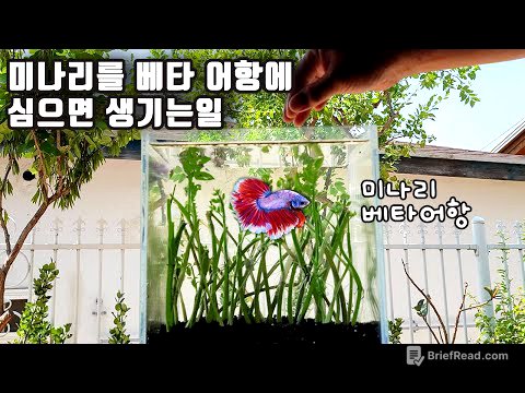 미나리 무한공급 시스템! 도전해 보았습니다!!