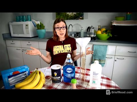 Banana DNA Experiment