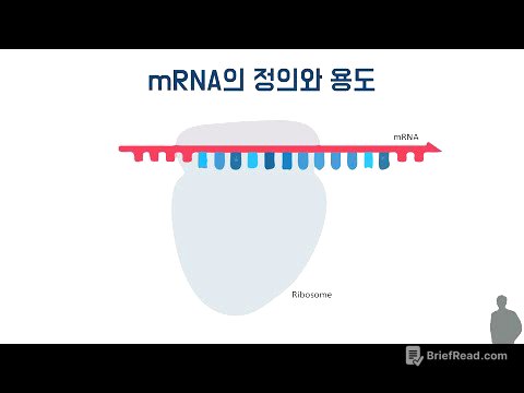 mRNA의 역할