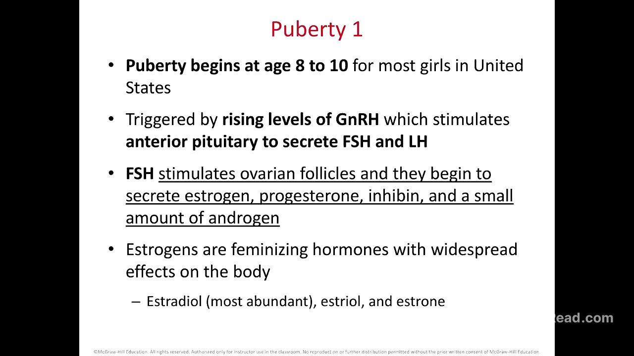 SCB 202 Chapter 28 Female Reproductive System Part 2