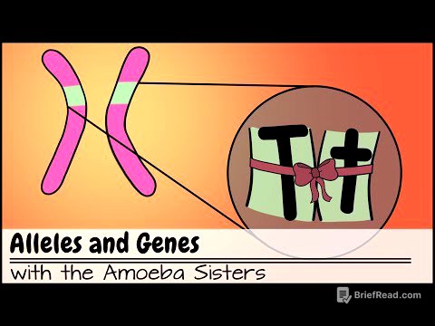 Alleles and Genes