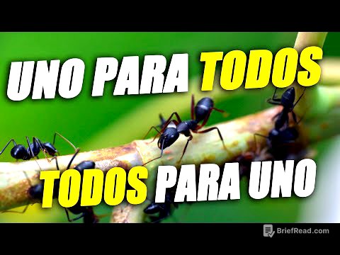 EL CICLO DE VIDA DE LAS HORMIGAS