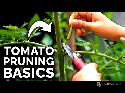 How to Prune Tomatoes for Maximum Yield and Plant Health