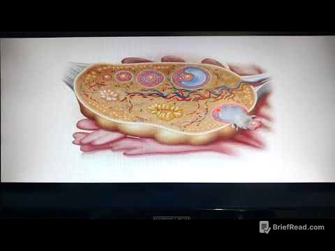 2 ovarios características