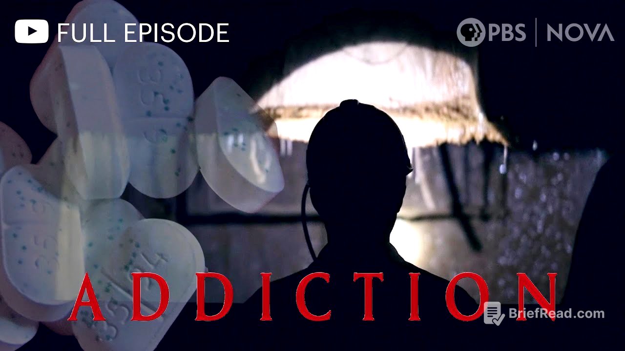 Addiction I Full Documentary I NOVA I PBS