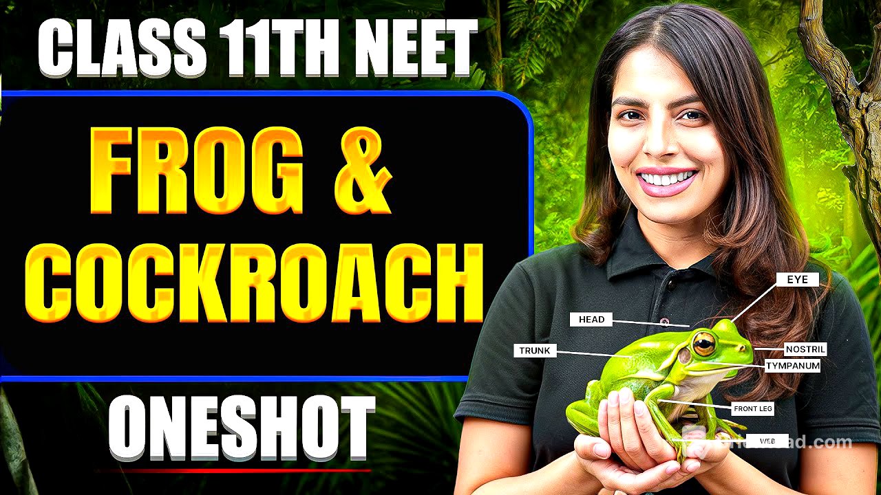FROG & COCKROACH in ONE SHOT | All Concept & PYQ | Basics to Advanced | Class 11 NEET