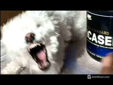 Quincy selfish dog videos