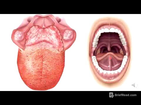 3 Lengua.